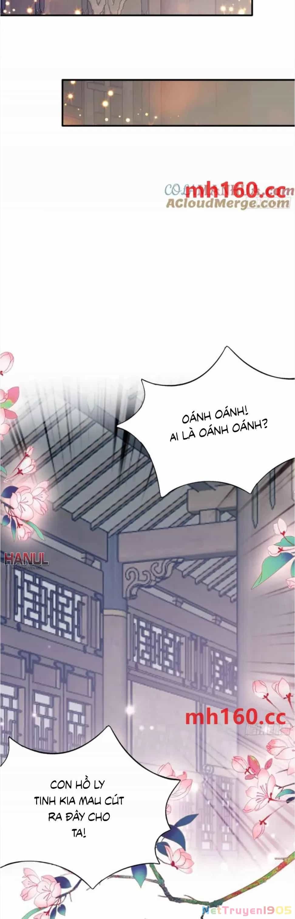 Bổn Vương Muốn Ngươi - Chương 206 - ảnh 17