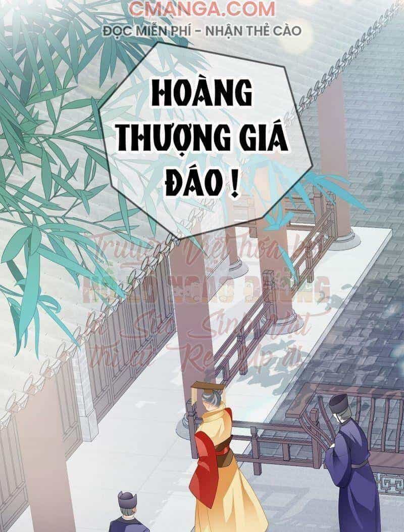 Bổn Vương Muốn Ngươi - Chương 29 - ảnh 28