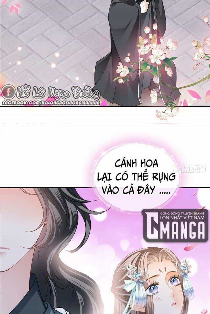 Bổn Vương Muốn Ngươi - Chương 31 - ảnh 5