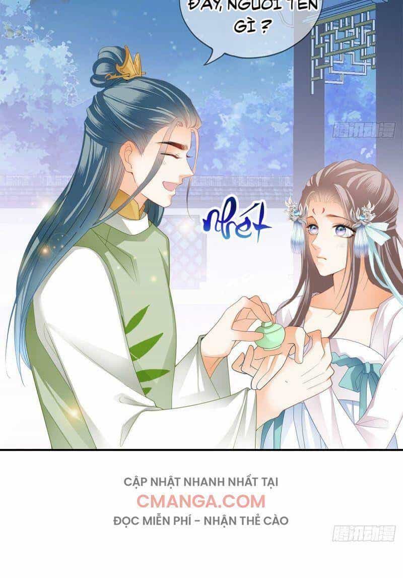 Bổn Vương Muốn Ngươi - Chương 8 - ảnh 12