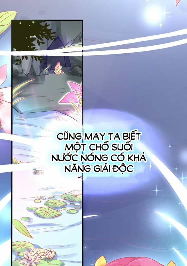 Bổn Vương Phi Có Roi Trong Tay - Chương 0 - ảnh 21