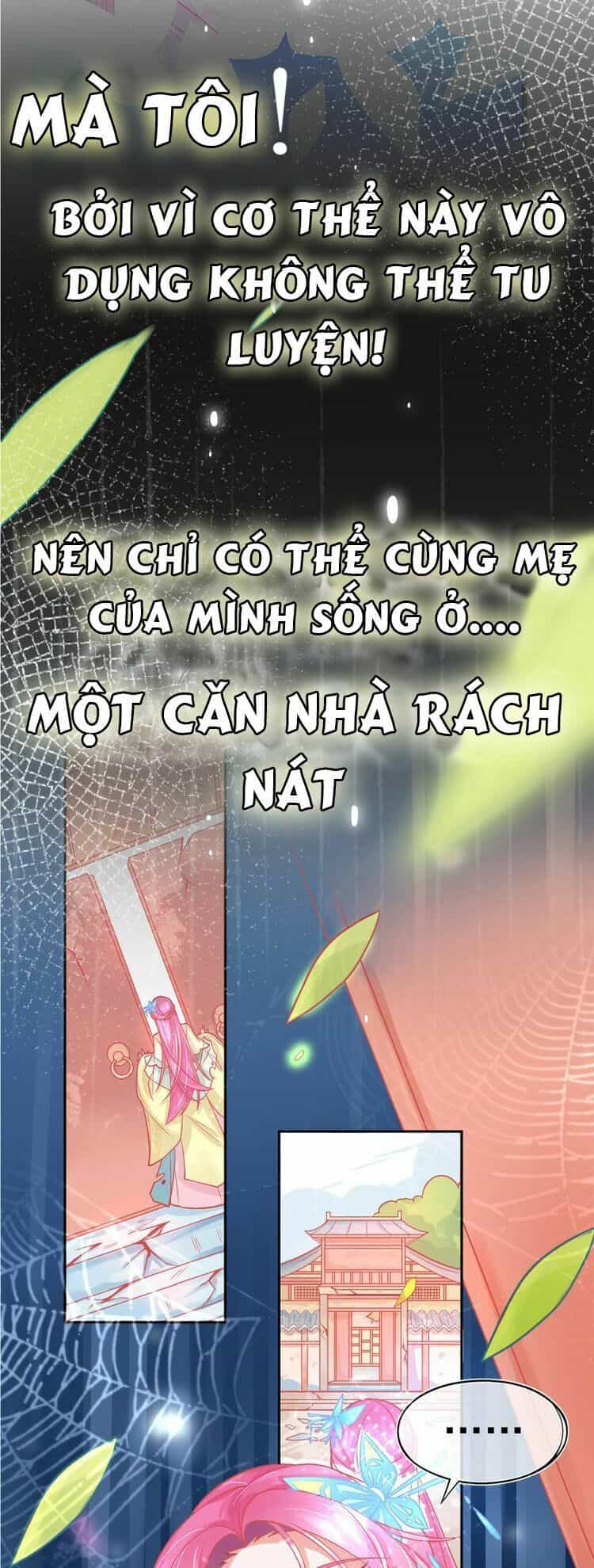 Bổn Vương Phi Có Roi Trong Tay - Chương 0 - ảnh 9