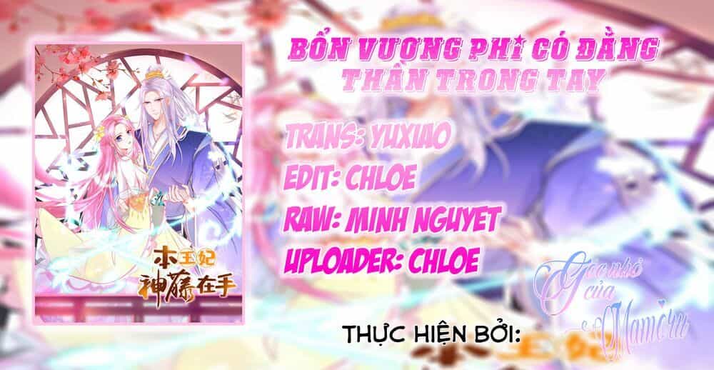 Bổn Vương Phi Có Roi Trong Tay - Chương 13 - ảnh 3