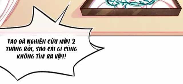 Bổn Vương Phi Có Roi Trong Tay - Chương 1 - ảnh 24