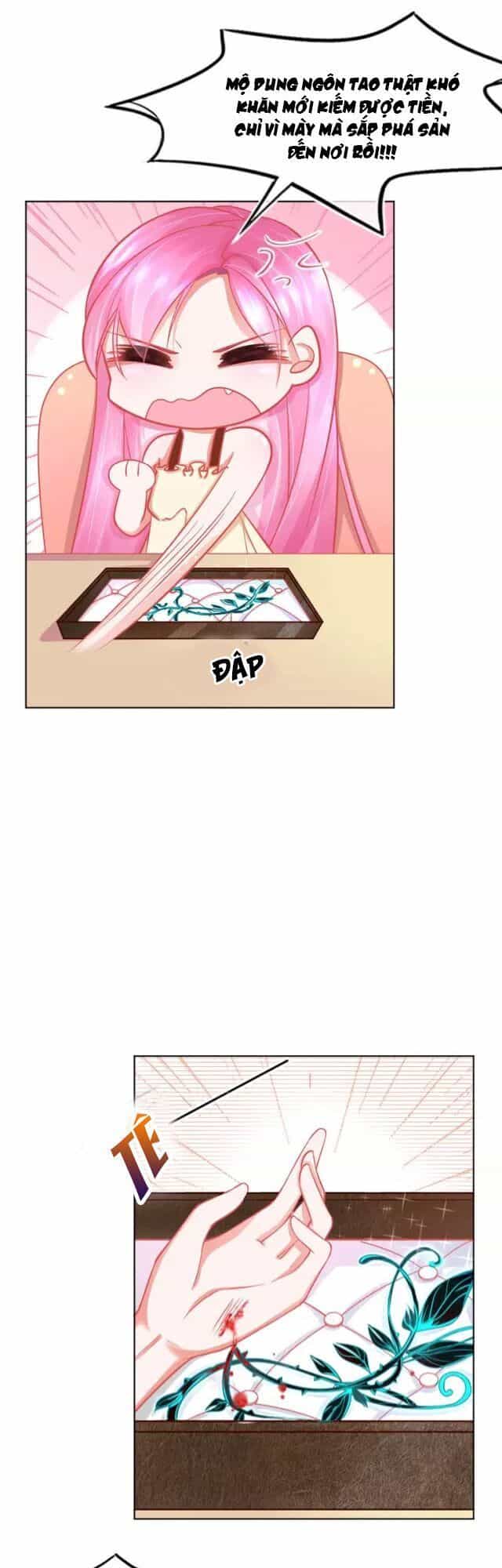 Bổn Vương Phi Có Roi Trong Tay - Chương 1 - ảnh 25