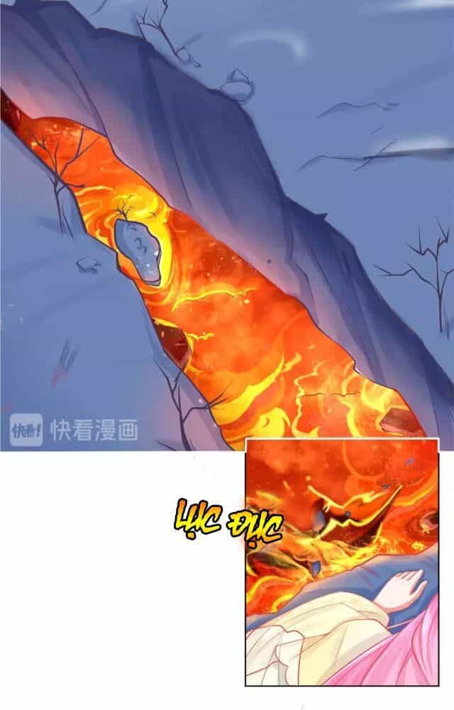 Bổn Vương Phi Có Roi Trong Tay - Chương 1 - ảnh 33