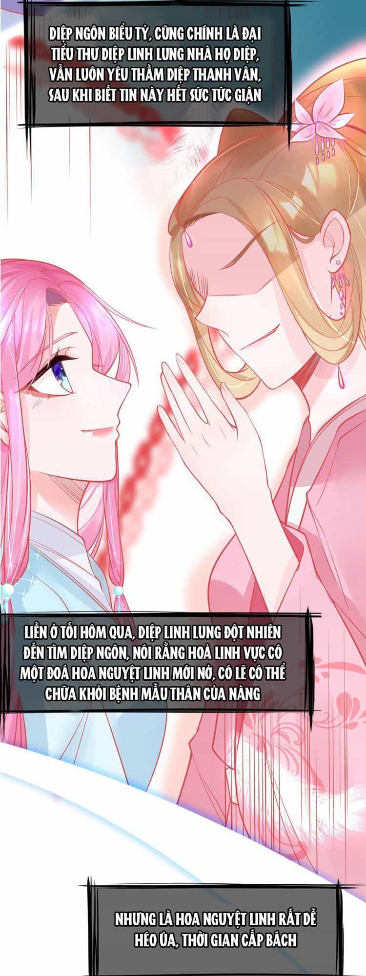 Bổn Vương Phi Có Roi Trong Tay - Chương 2 - ảnh 23