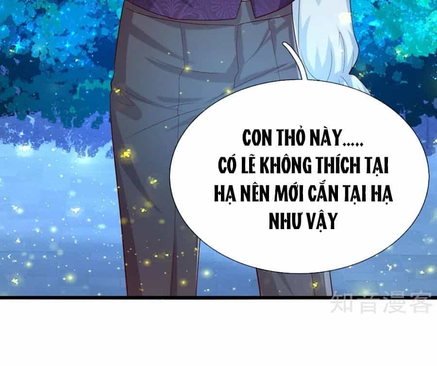 Bỗng Một Ngày Trở Thành Con Gái Nhà Vua - Chương 112 - ảnh 5