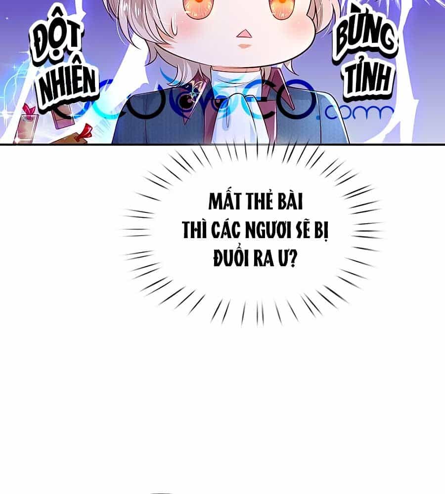 Bỗng Một Ngày Trở Thành Con Gái Nhà Vua - Chương 217 - ảnh 27