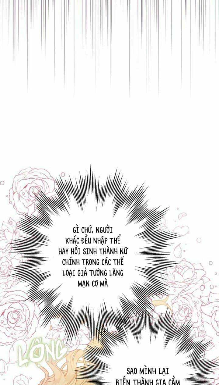 Bỗng Nhiên Tôi Trở Thành Quạ Đen!! - Chương 1 - ảnh 26