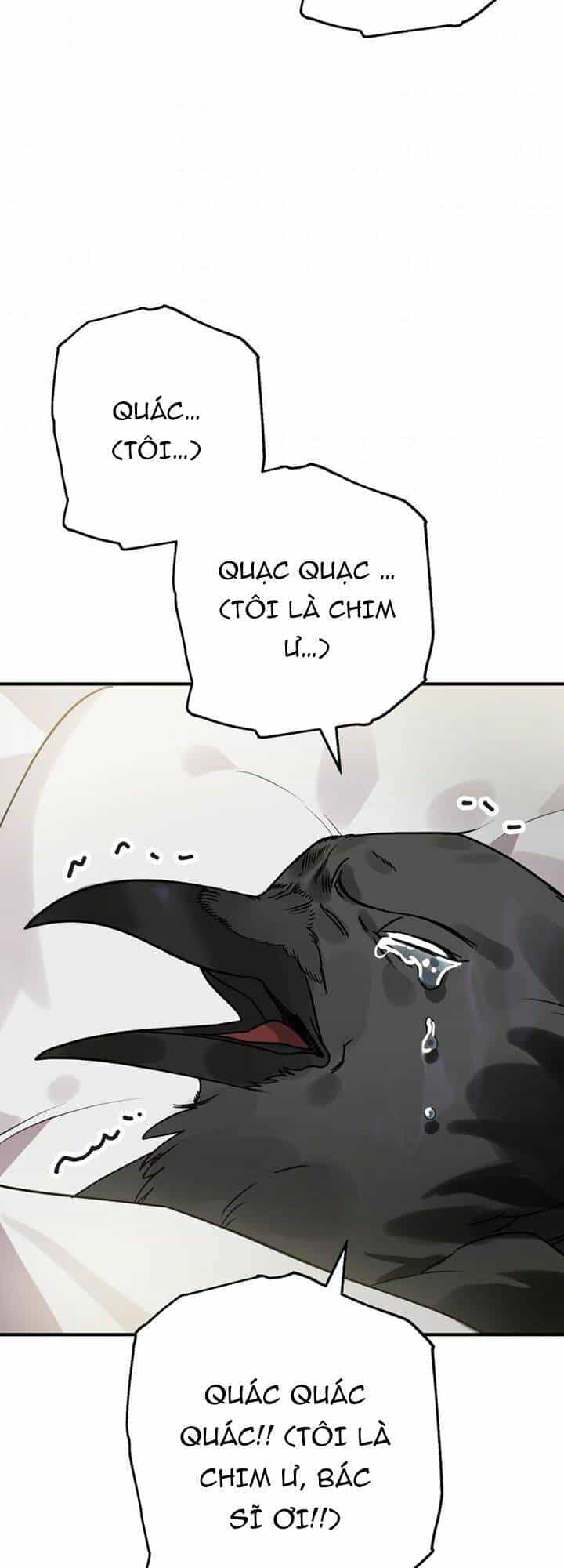 Bỗng Nhiên Tôi Trở Thành Quạ Đen!! - Chương 1 - ảnh 30
