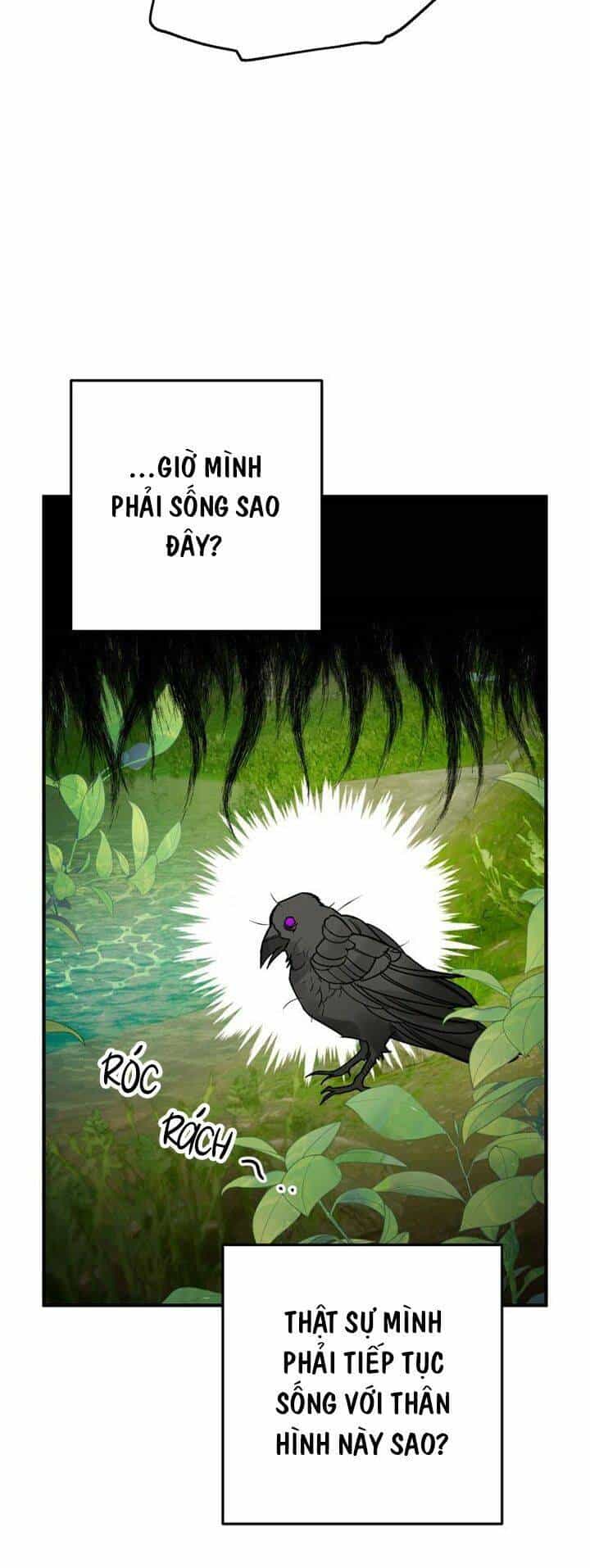 Bỗng Nhiên Tôi Trở Thành Quạ Đen!! - Chương 1 - ảnh 31
