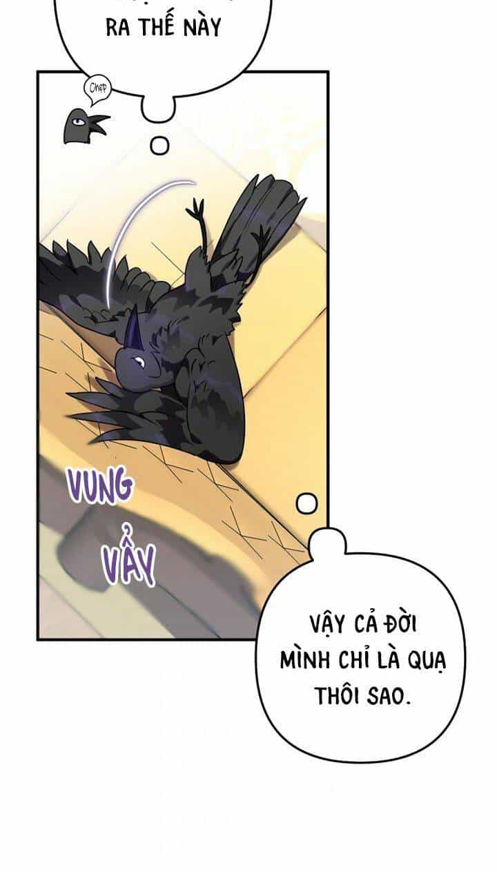 Bỗng Nhiên Tôi Trở Thành Quạ Đen!! - Chương 11 - ảnh 19