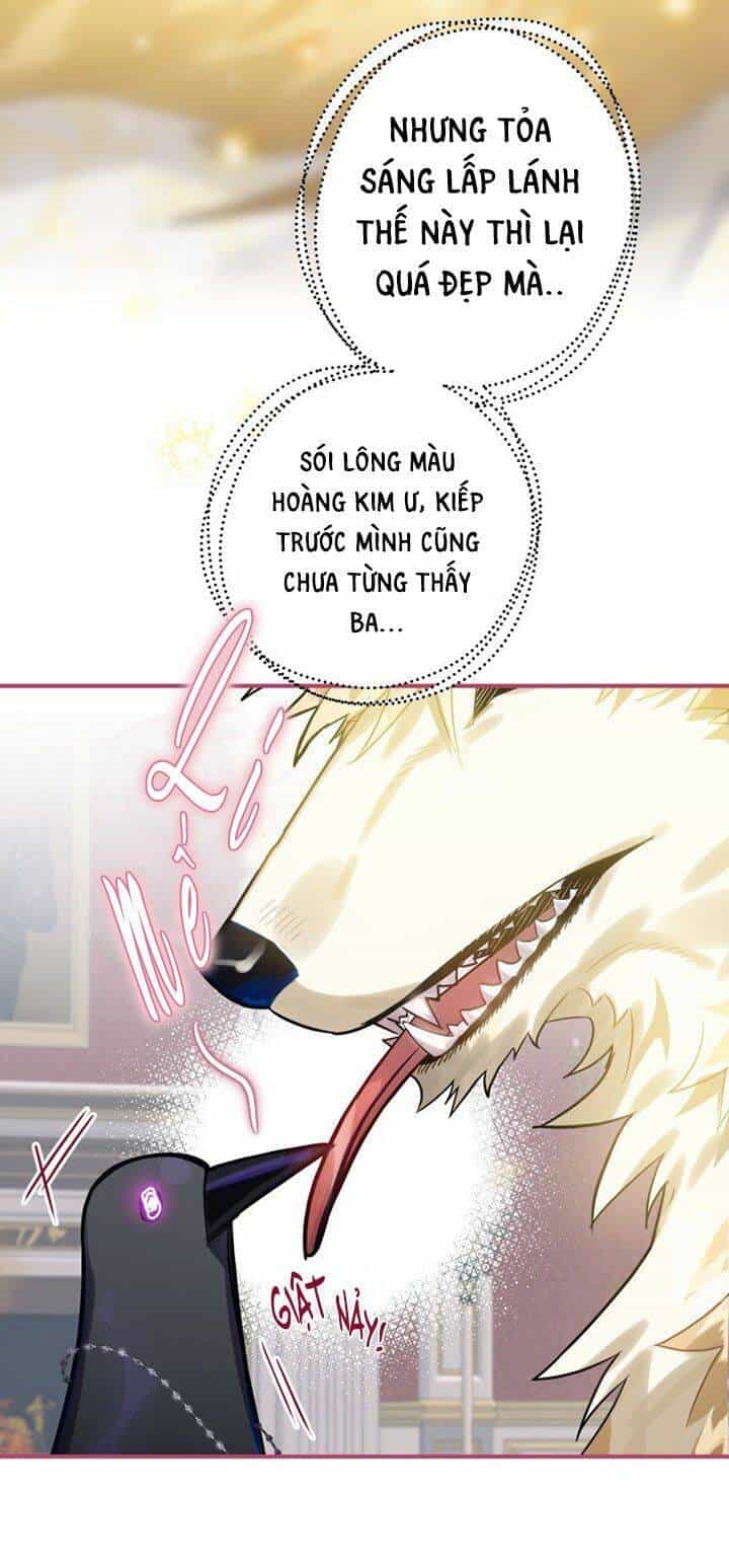 Bỗng Nhiên Tôi Trở Thành Quạ Đen!! - Chương 13 - ảnh 12