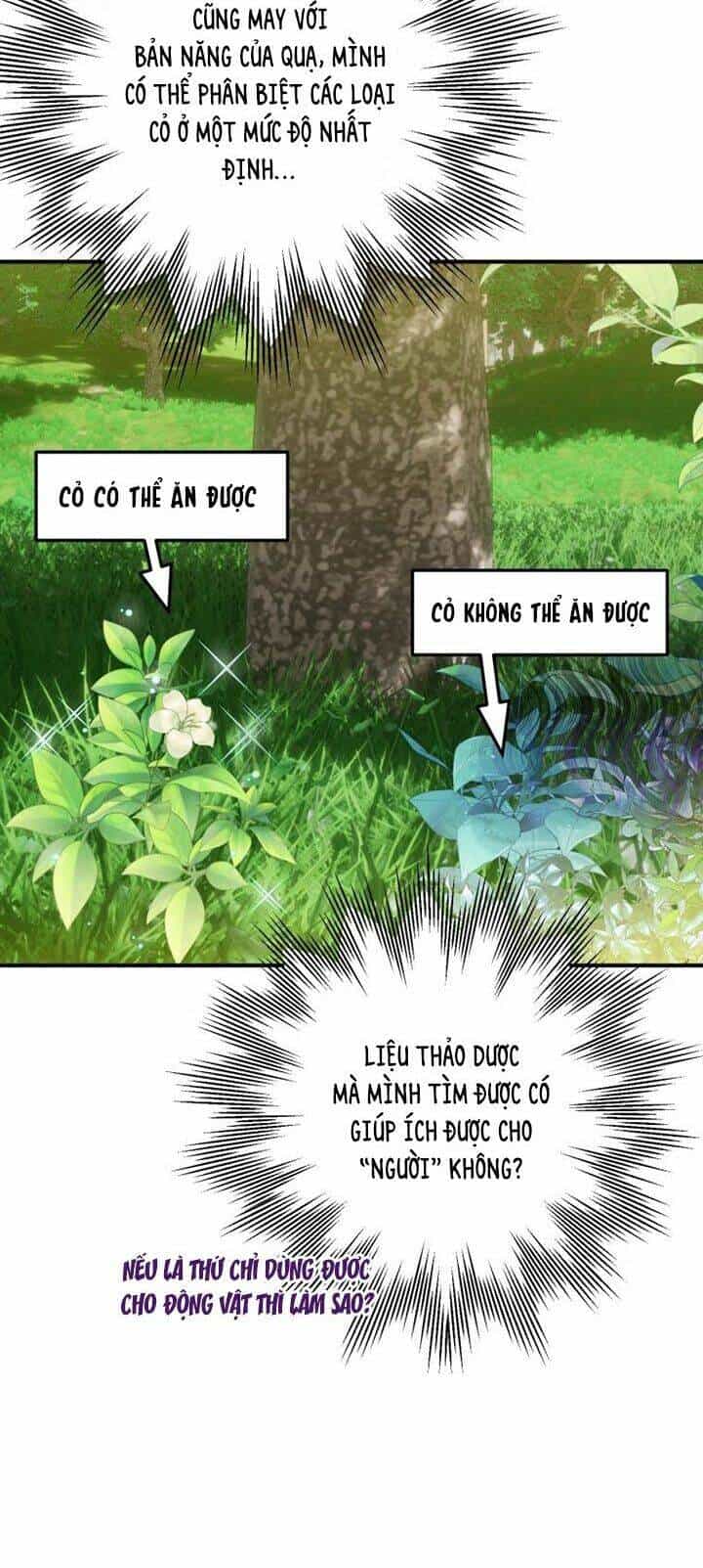 Bỗng Nhiên Tôi Trở Thành Quạ Đen!! - Chương 2 - ảnh 37