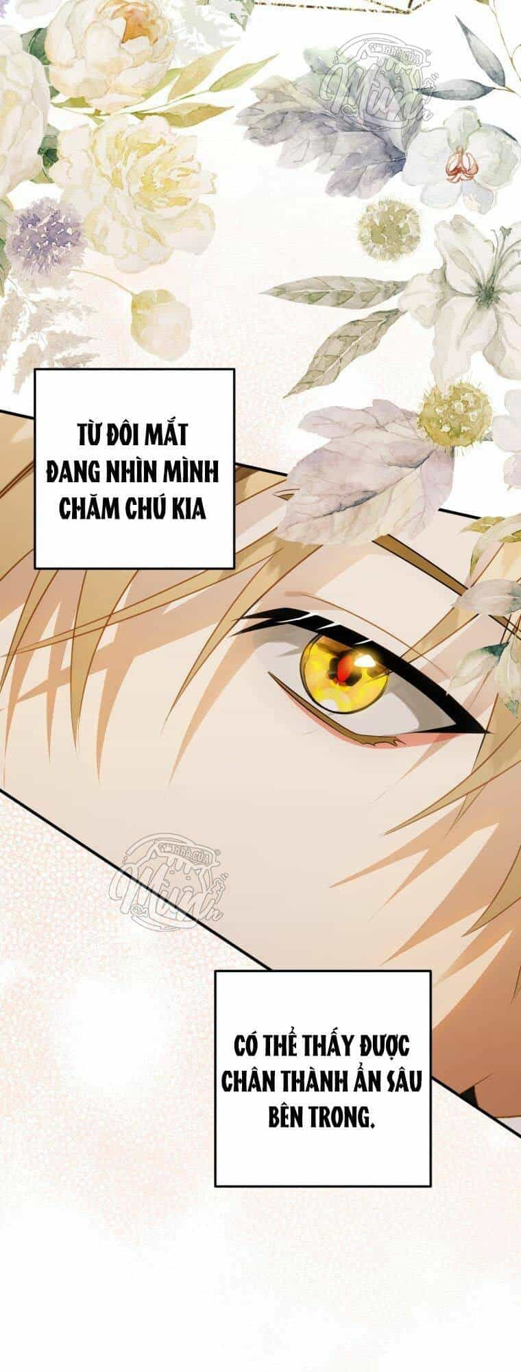 Bỗng Nhiên Tôi Trở Thành Quạ Đen!! - Chương 35 - ảnh 41