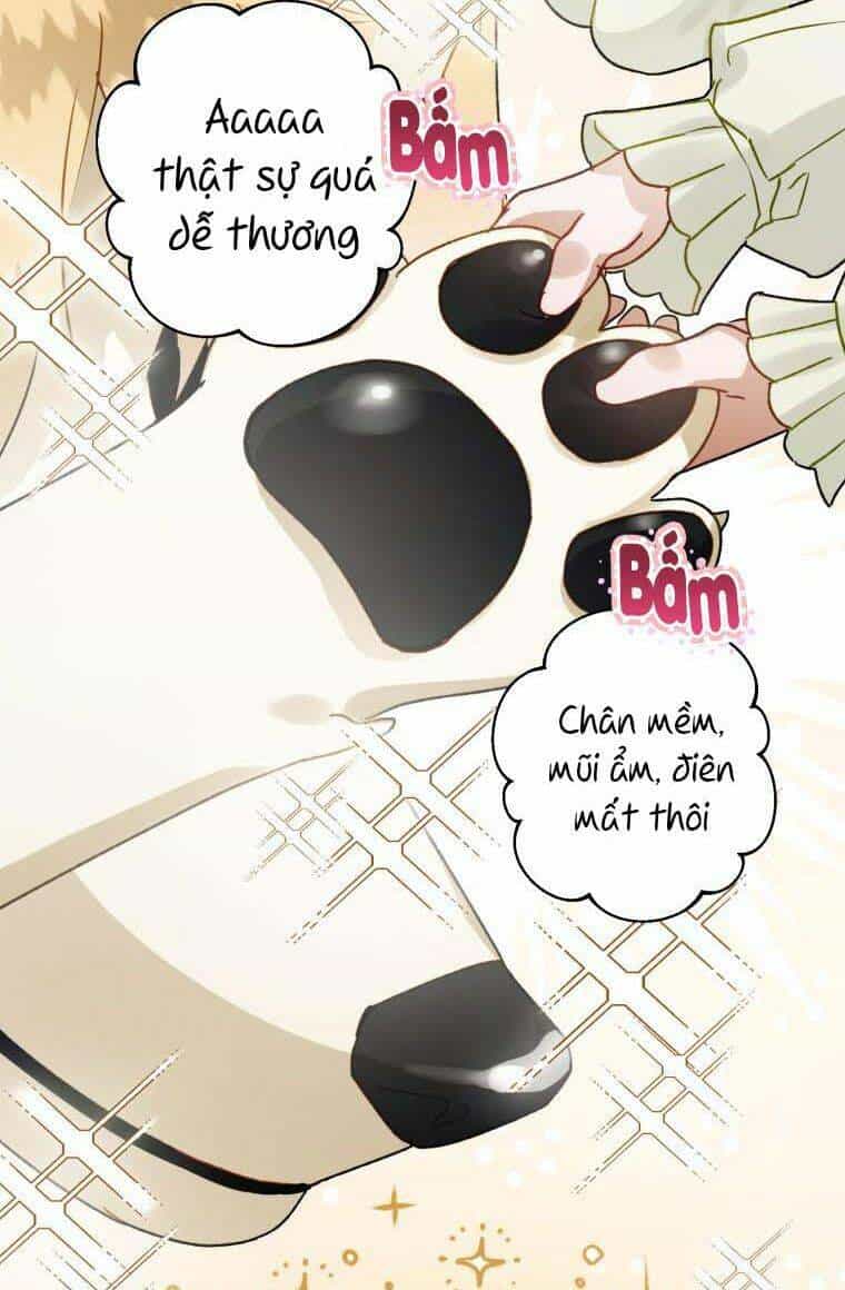 Bỗng Nhiên Tôi Trở Thành Quạ Đen!! - Chương 37 - ảnh 39