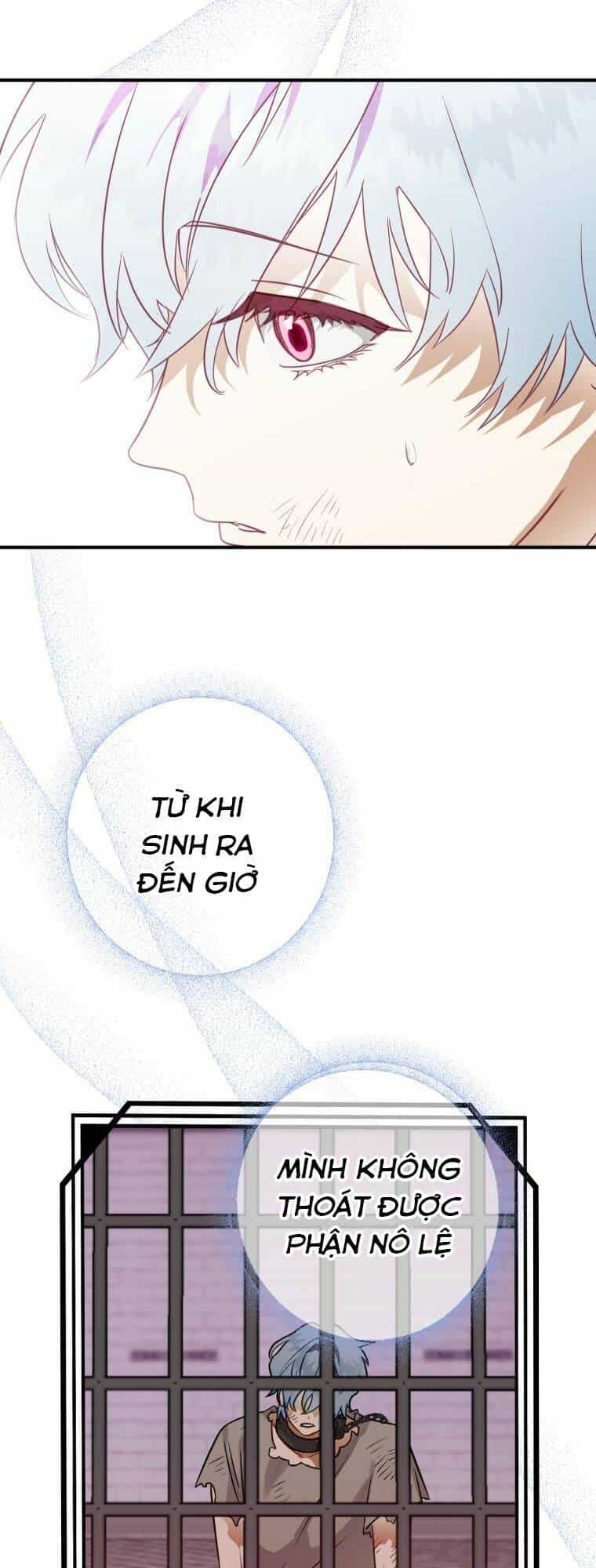 Bỗng Nhiên Tôi Trở Thành Quạ Đen!! - Chương 41 - ảnh 57