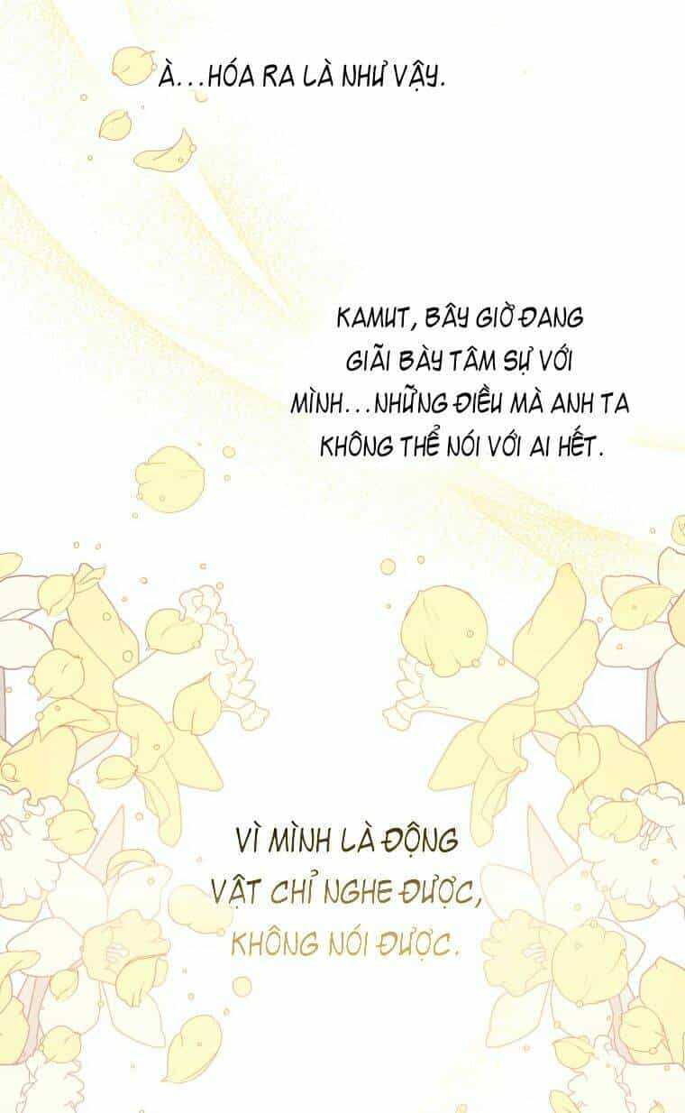Bỗng Nhiên Tôi Trở Thành Quạ Đen!! - Chương 6 - ảnh 36