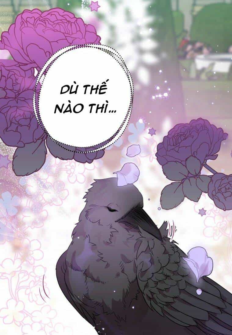 Bỗng Nhiên Tôi Trở Thành Quạ Đen!! - Chương 8 - ảnh 15