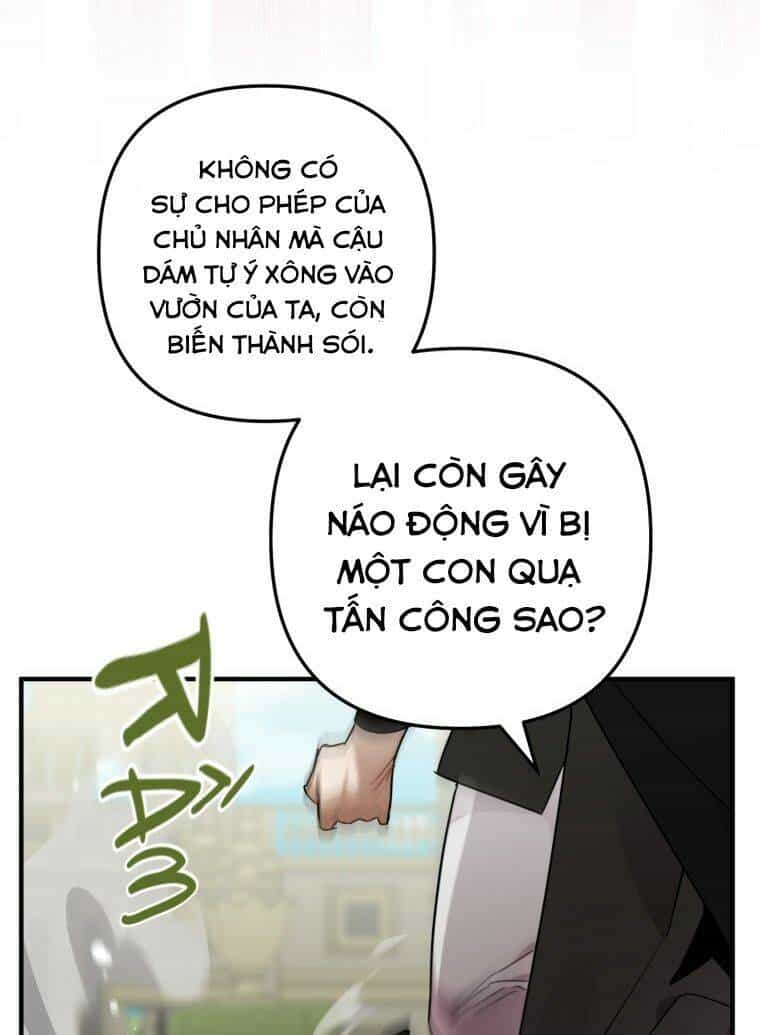 Bỗng Nhiên Tôi Trở Thành Quạ Đen!! - Chương 8 - ảnh 75