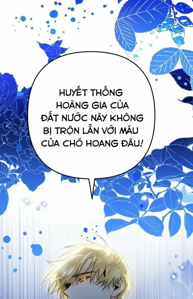 Bỗng Nhiên Tôi Trở Thành Quạ Đen!! - Chương 8 - ảnh 77