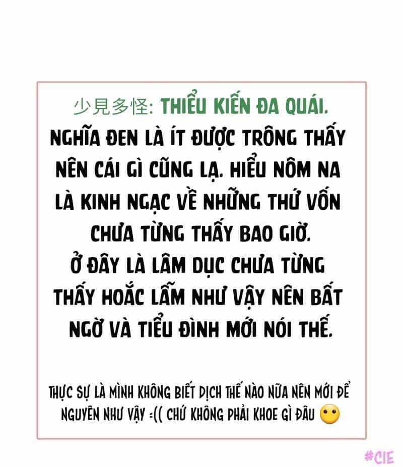 Boss Là Kim Chủ Của Tôi - Chương 53 - ảnh 40