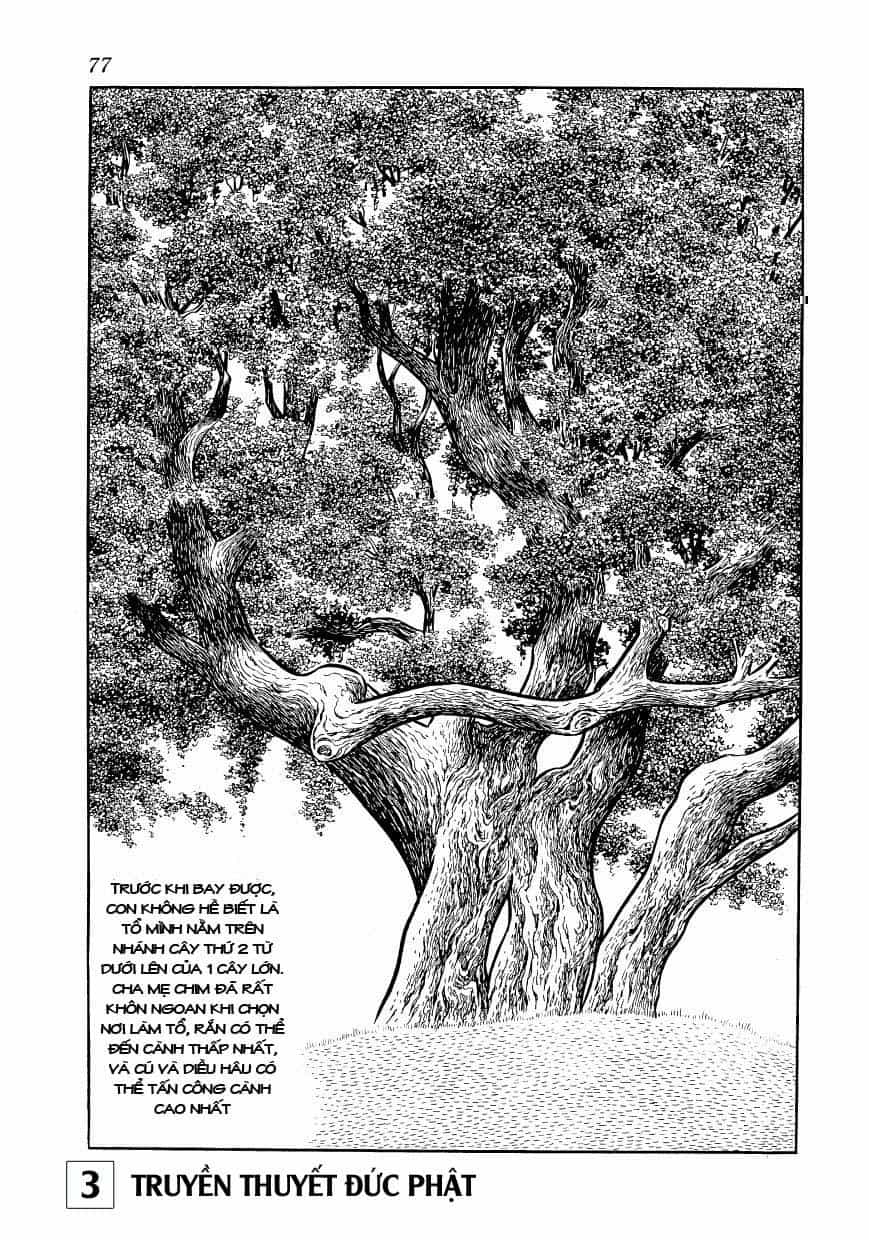 Buddha - Truyền Thuyết Đức Phật - Chương 14 - ảnh 30