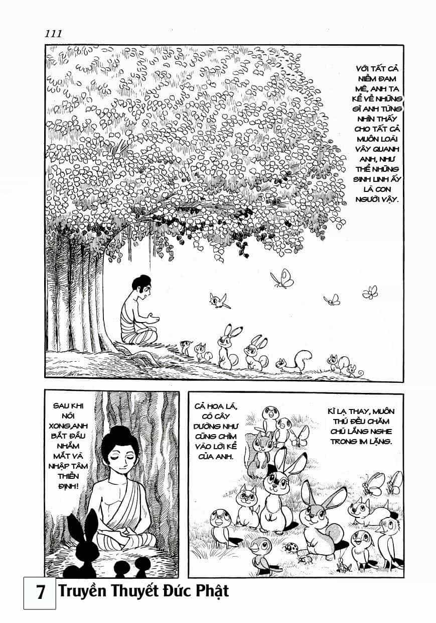 Buddha - Truyền Thuyết Đức Phật - Chương 33 - ảnh 5