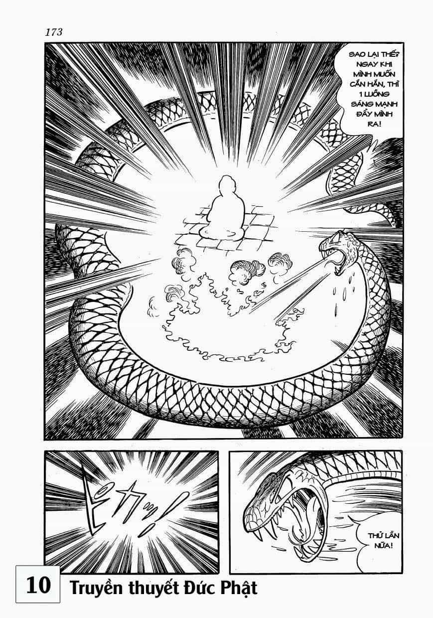 Buddha - Truyền Thuyết Đức Phật - Chương 47 - ảnh 46