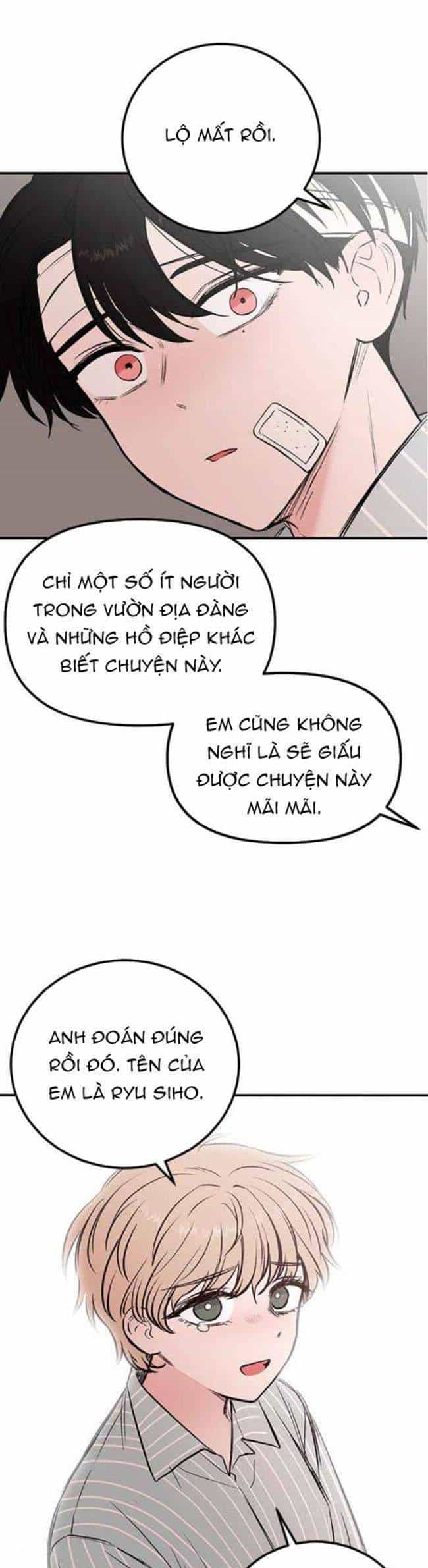 Bươm Bướm Và Máu - Chương 22 - ảnh 5
