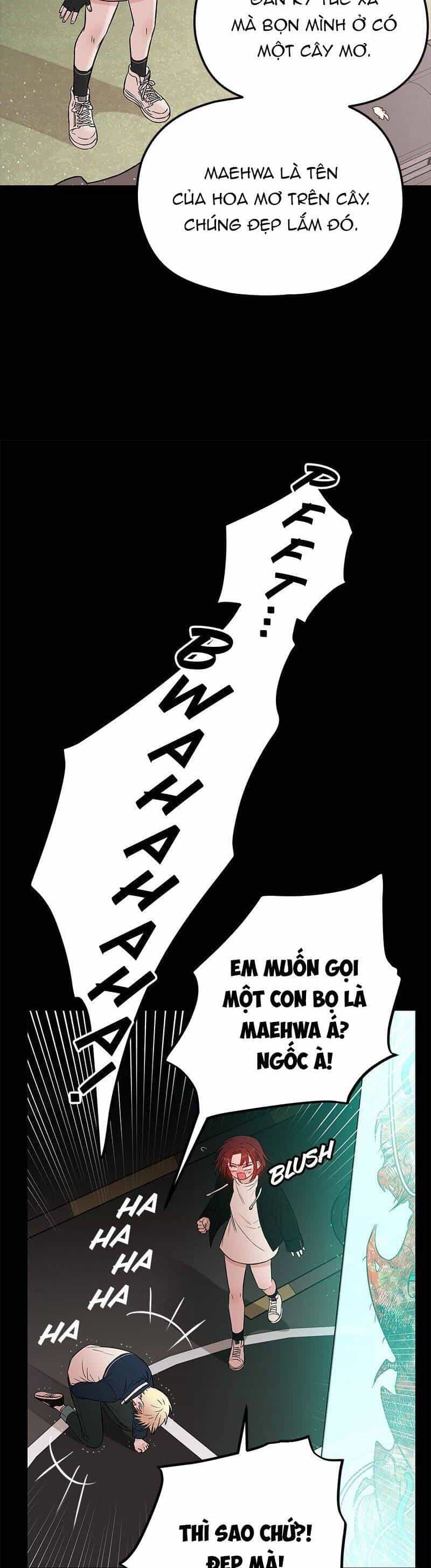 Bươm Bướm Và Máu - Chương 49 - ảnh 12