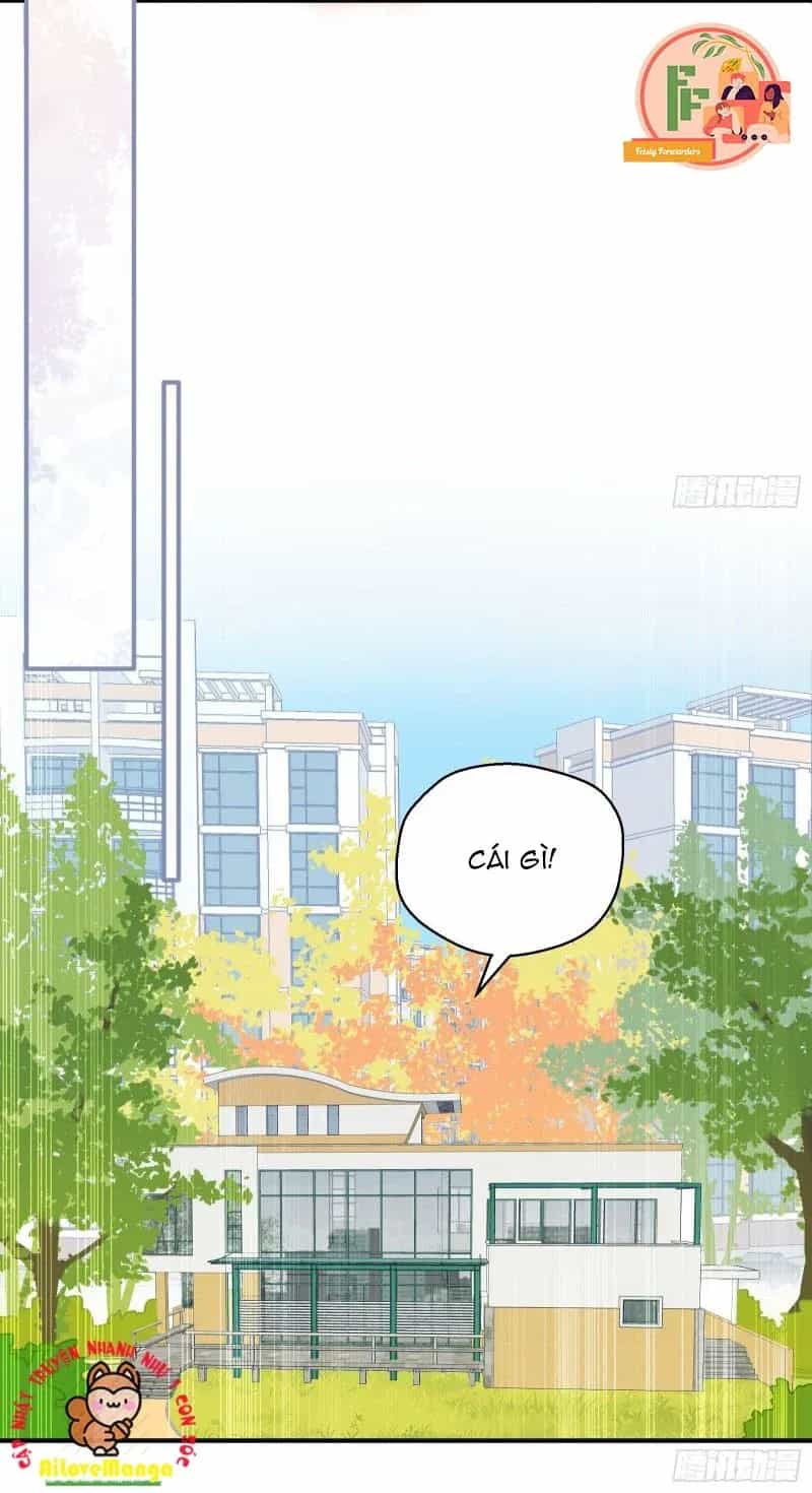 Cá Muối Của Tôi Xuất Đạo Rồi - Chương 7 - ảnh 24