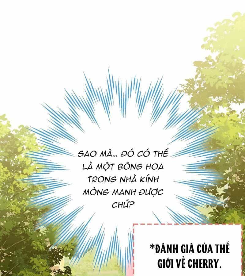 Các Nam Chính Bị Giam Giữ Trong Nhà Tôi - Chương 10 - ảnh 58