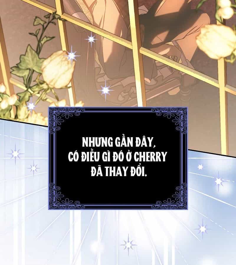 Các Nam Chính Bị Giam Giữ Trong Nhà Tôi - Chương 15 - ảnh 119