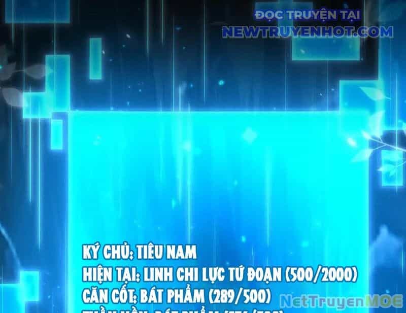 Các Nữ Sư Tôn Đều Muốn Chiếm Hữu Ta - Chương 9 - ảnh 14