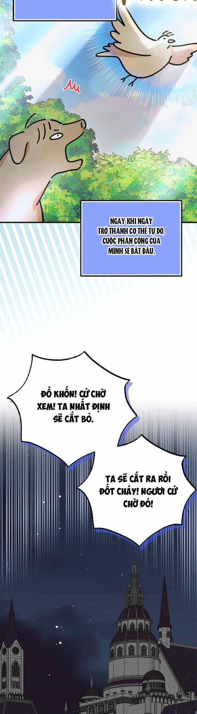 Cách Để Em Bảo Vệ Anh - Chương 100 - ảnh 39