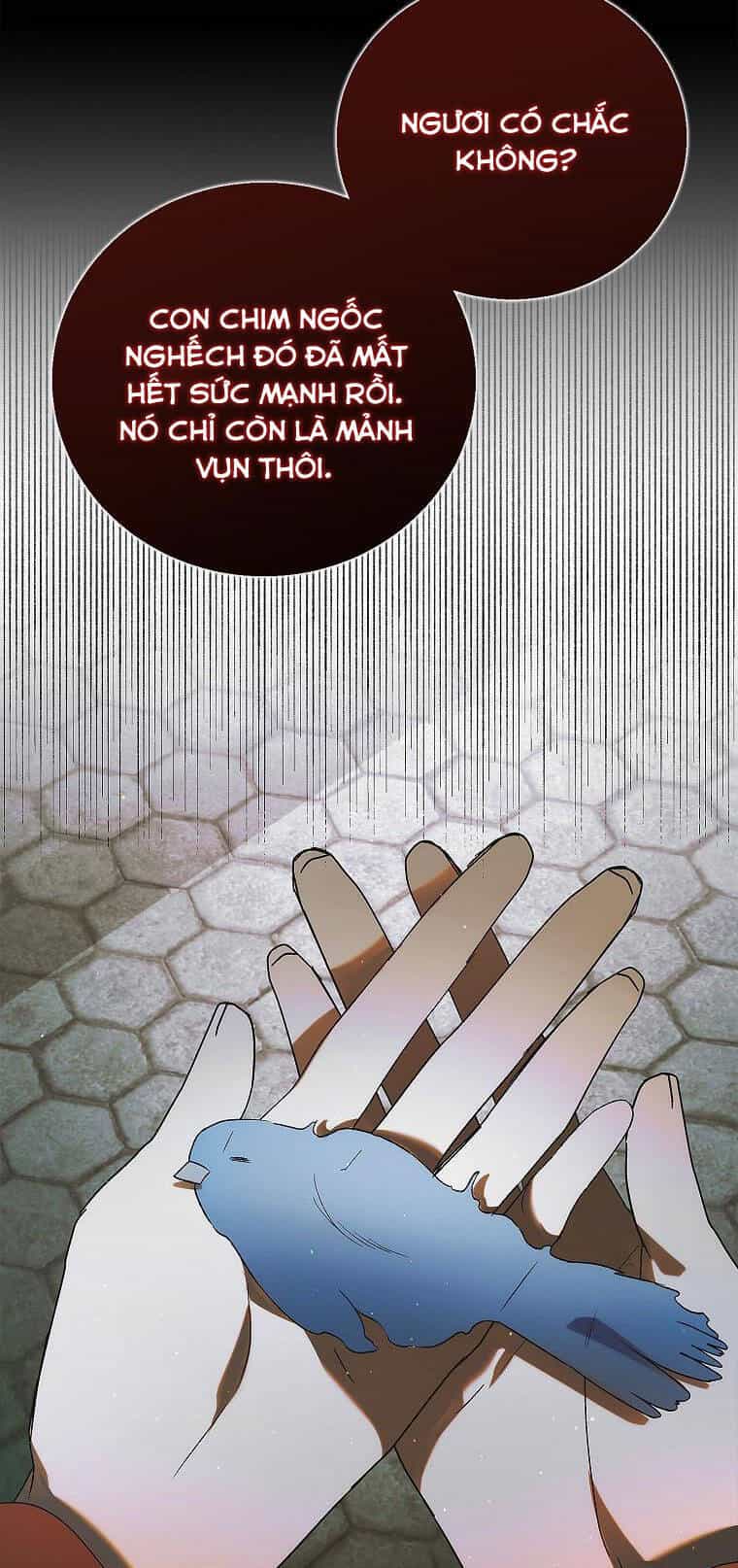 Cách Để Em Bảo Vệ Anh - Chương 122.1 - ảnh 34
