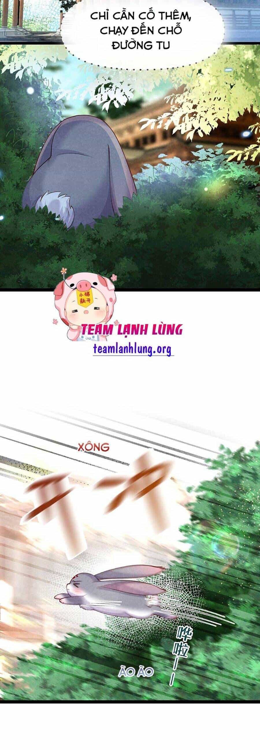 Cách Để Tồn Tại Như Một Cống Phẩm - Chương 13 - ảnh 17