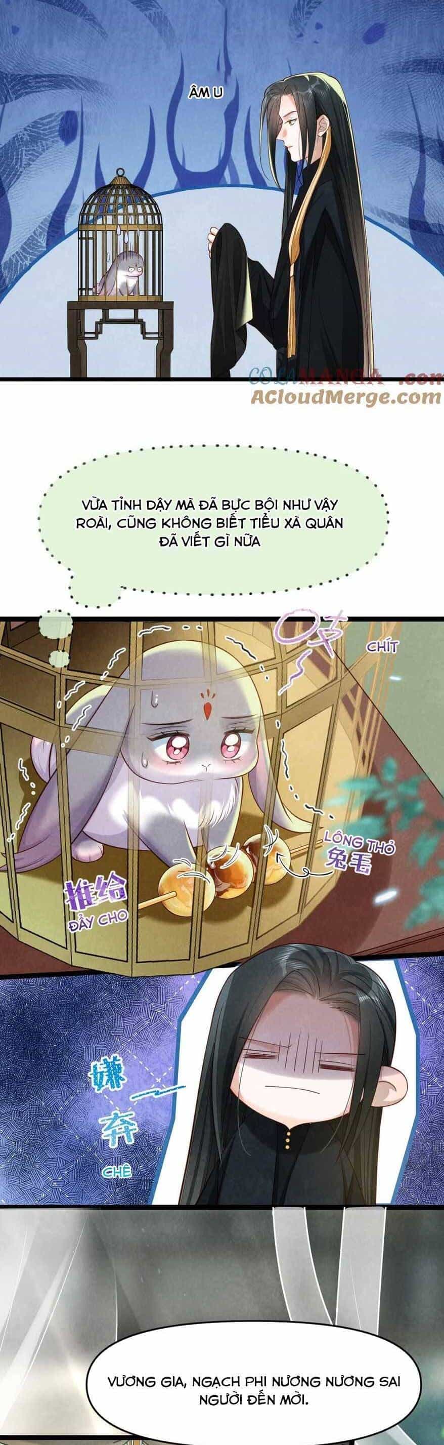 Cách Để Tồn Tại Như Một Cống Phẩm - Chương 16 - ảnh 2