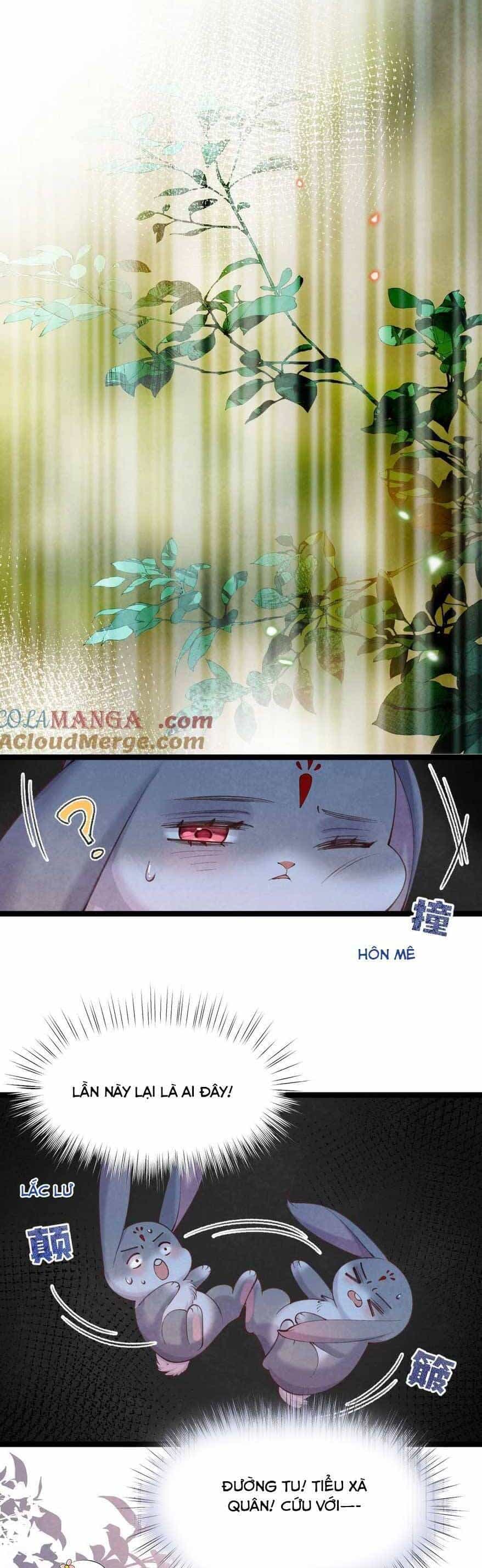 Cách Để Tồn Tại Như Một Cống Phẩm - Chương 16 - ảnh 9