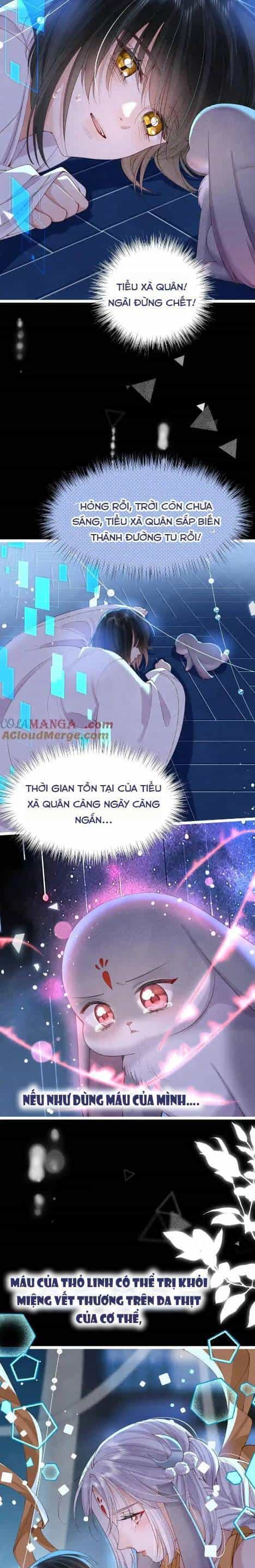 Cách Để Tồn Tại Như Một Cống Phẩm - Chương 17 - ảnh 7