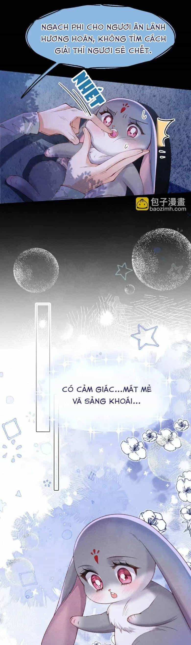 Cách Để Tồn Tại Như Một Cống Phẩm - Chương 28 - ảnh 21