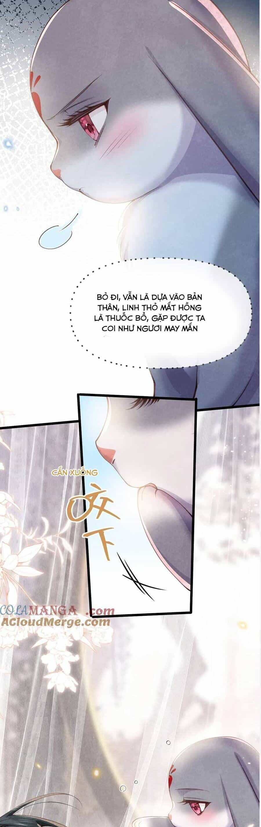 Cách Để Tồn Tại Như Một Cống Phẩm - Chương 8 - ảnh 9
