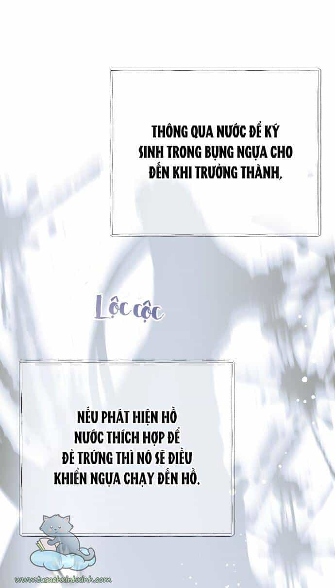 Cách Hiệp Sĩ Sống Như Một Tiểu Thư Quyền Quý - Chương 62 - ảnh 9