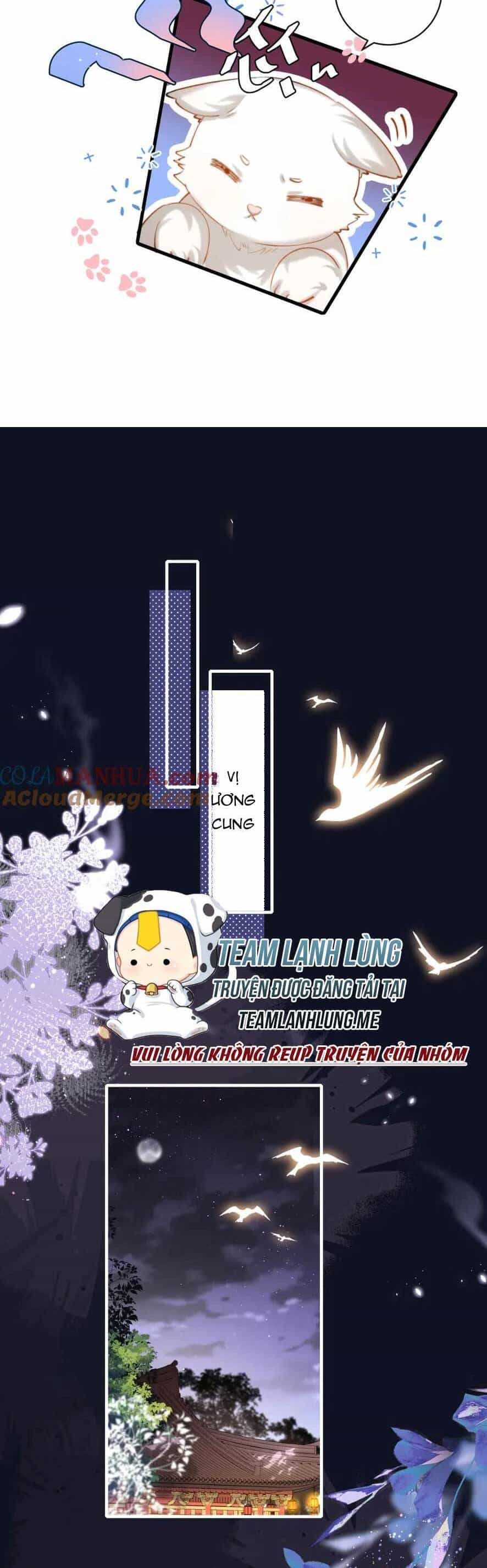 Cách Thức Sinh Tồn Của Pháo Hôi Khuê Nữ - Chương 222 - ảnh 10