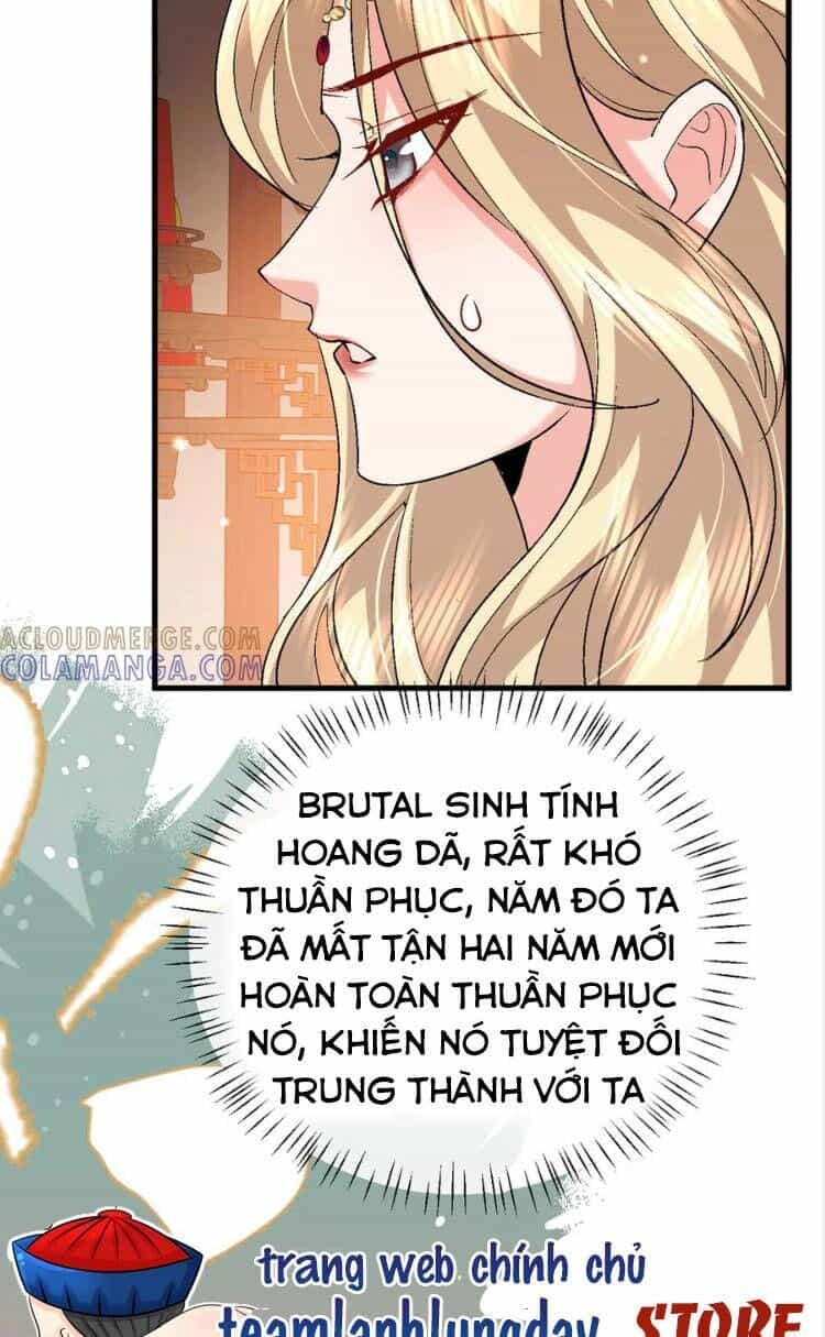 Cách Thức Sinh Tồn Của Pháo Hôi Khuê Nữ - Chương 377 - ảnh 12