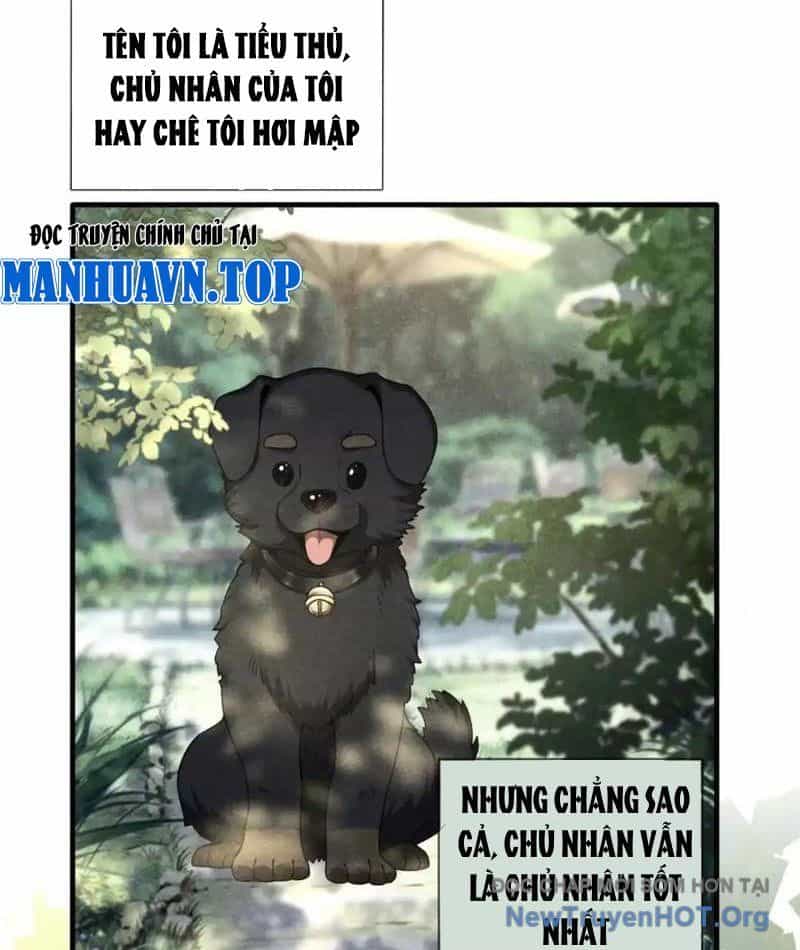 Cái Bóng Của Ta Là Loli - Chương 26 - ảnh 4