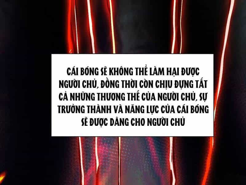 Cái Bóng Phản Bội Của Gia Tộc - Chương 2 - ảnh 3