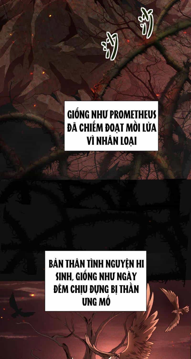 Cái Bóng Phản Bội Của Gia Tộc - Chương 3 - ảnh 20